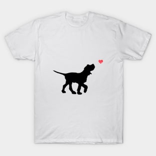 Italian Spinone T-Shirt